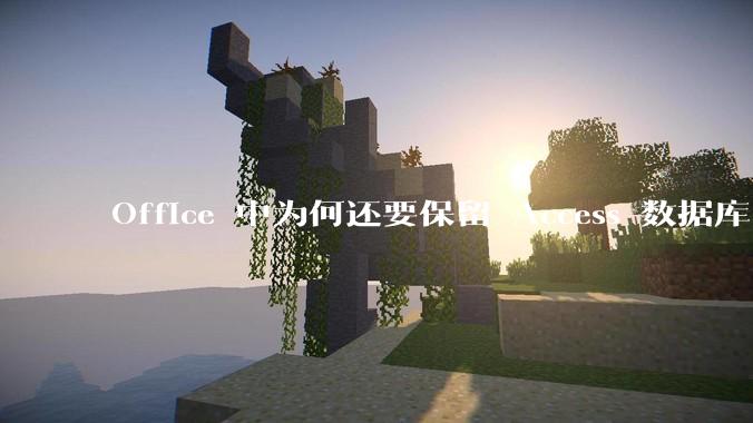 Office 中为何还要保留 Access 数据库?